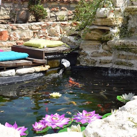 Boutique Villa Rosa Dei Venti Baltsjik Buitenkant foto
