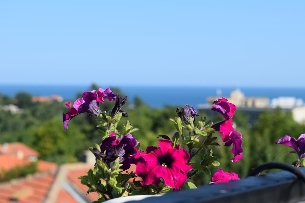 Boutique Villa Rosa Dei Venti Baltsjik Buitenkant foto