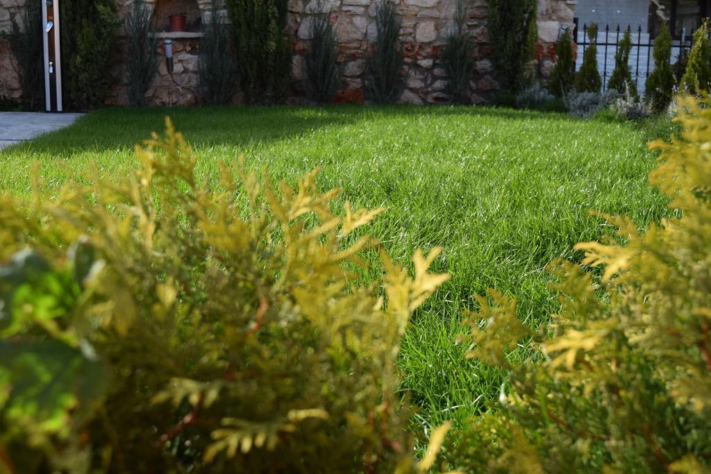Boutique Villa Rosa Dei Venti Baltsjik Buitenkant foto
